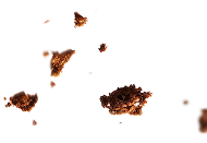 Layer 16